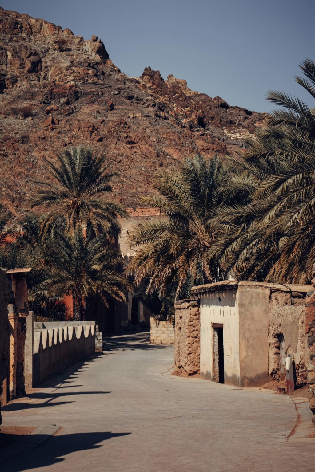 A picturesque view of an ancient village in Oman with palm trees and rocky mountains.